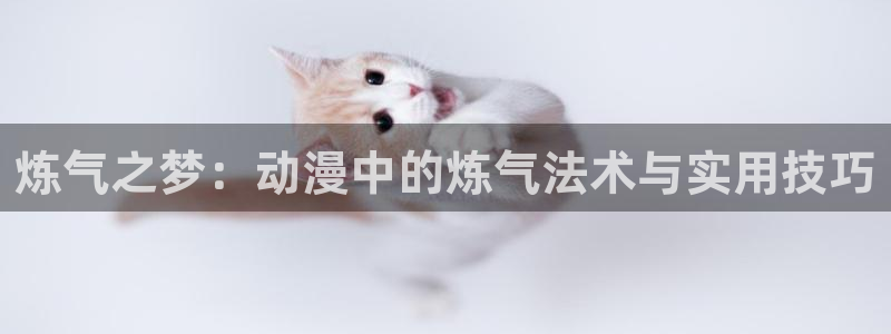 囧次元 翻译：炼气之梦：动漫中的炼气法术与实用技巧