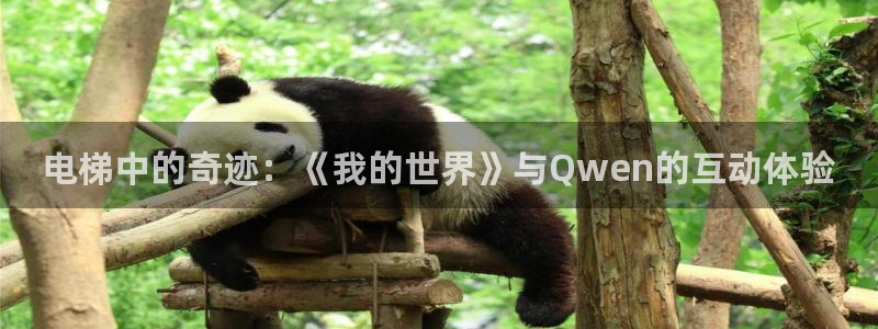 囧次元动漫官方正版：电梯中的奇迹：《我的世界》与Qwen的互动体验