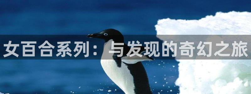 囧次元：女百合系列：与发现的奇幻之旅