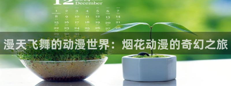 囧次元软件：漫天飞舞的动漫世界：烟花动漫的奇幻之旅