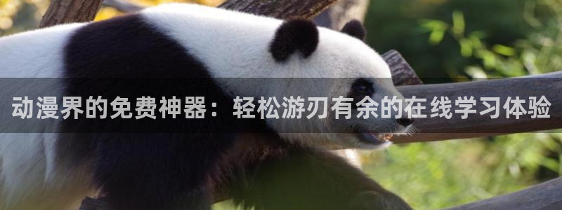 囧次元tv版：动漫界的免费神器：轻松游刃有余的在线学习体验